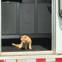 Rubber Floor Mats Eco Natural 1/2 Inch X 4x6 Ft. -Floor Mat Store 4x6 eco rubber floor mats natural customer2.jpg