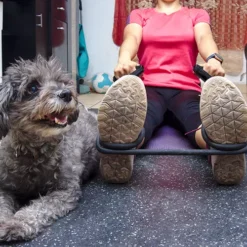 Geneva Rubber Tile 10% Color 8 Mm X 3x3 Ft. -Floor Mat Store interlocking rubber tiles exercise dog.jpg