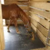 Portable Horse Stall Mats 3/4 Inch X 2x2 Ft. 2 Portable Horse Stall Mats 3/4 Inch X 2x2 Ft. -Floor Mat Store portable stall mats horse stall.jpg
