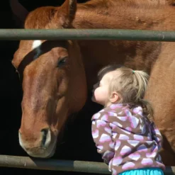 Horse Stall Mats Kit 3/4 Inch X 16x16 Ft. -Floor Mat Store sonny 01.jpg 4