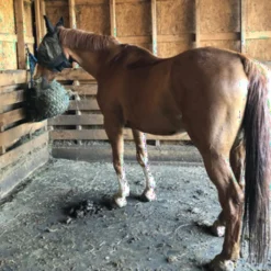 Horse Stall Mats Black 3/4 Inch X 4x6 Ft. -Floor Mat Store taylor farm horse stall mats 4x6x34 8.jpg
